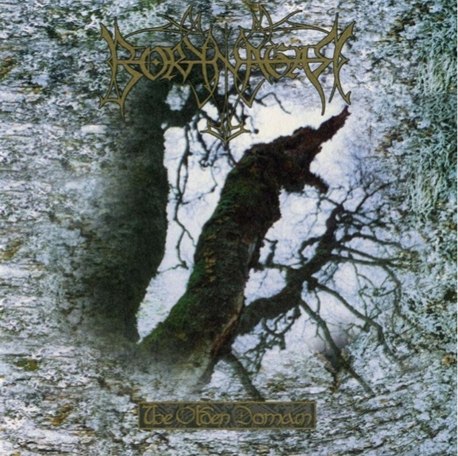 Originalcover von Borknagar — The Olden Domain (1997): Schnee, verwitterte Baumstämme, verzweigte Formen sowie ein kunstvoll verschlungenes goldenes Bandlogo und der Albumtitel.